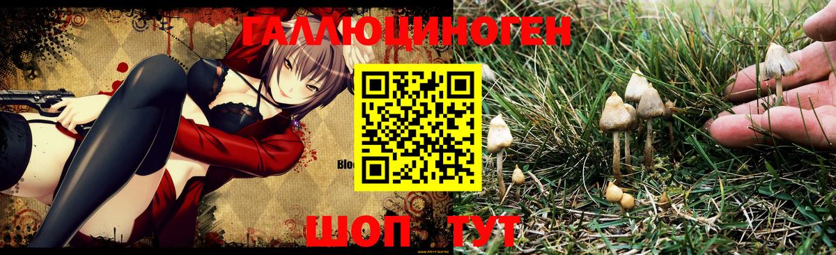 Сосновый Бор  Галлюциногенные грибы GOLDEN TEACHER  Вход с VPN  Галлюциногенные грибы Cubensis 