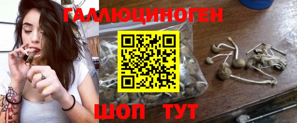 Галлюциногенные грибы мухоморы Сосновый Бор